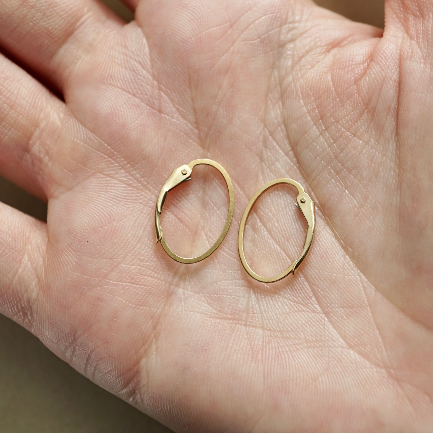 Oval Hoops